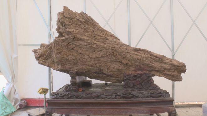 九游娱乐文化:稀奇物!仪征正在建设一座博物馆