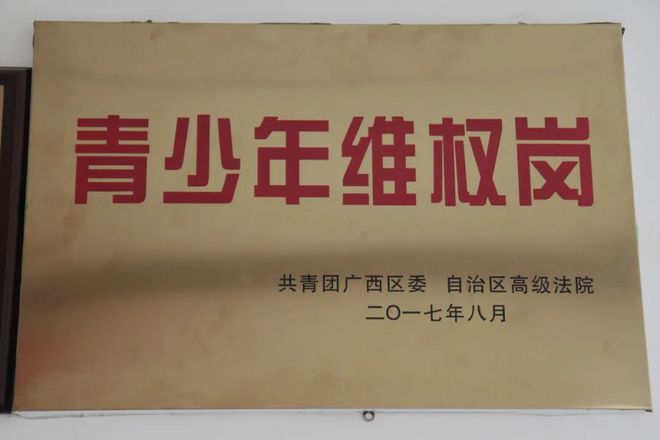 九游娱乐:法润春苗护“未”成长——岑溪法院未成年人保护工作速览【24年第87期】(图6)