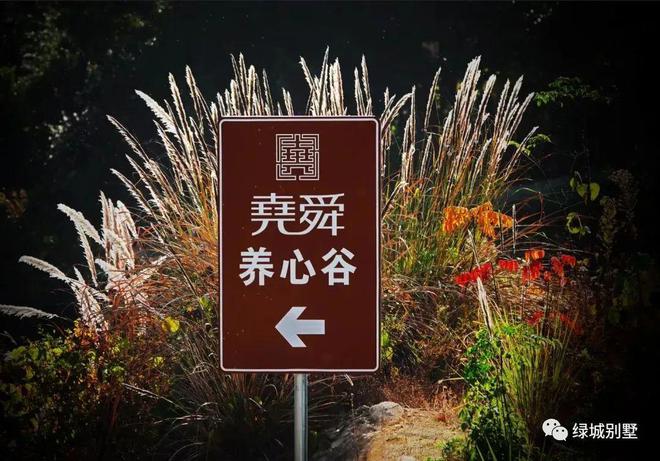 九游娱乐文化:尧舜养心谷2024网站-尧舜养心谷楼盘详情-杭州房天下