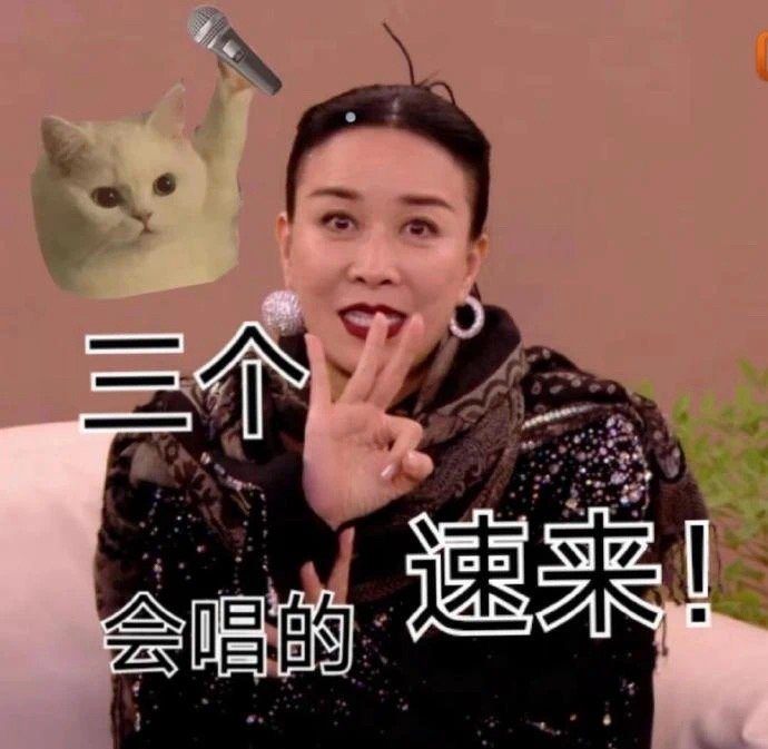 多位歌手申请参加《歌手2024》!“救那英”还是蹭热度