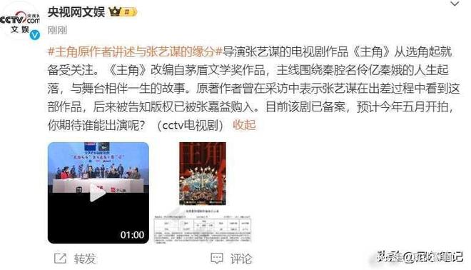 央视力荐！张艺谋的电视剧处女作全员演技派又有新剧可追了(图4)