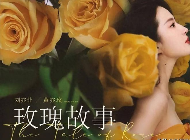 九游娱乐文化:2024暑期档电视剧热榜排行:《玫瑰》仅排第二《孤舟》未入前三