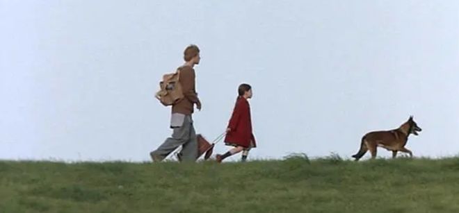 适合一个人看的5部电影孤独才是人生的常态