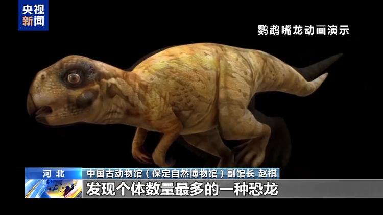 暑期探秘走进博物馆感受恐龙化石里的中国故事(图4)
