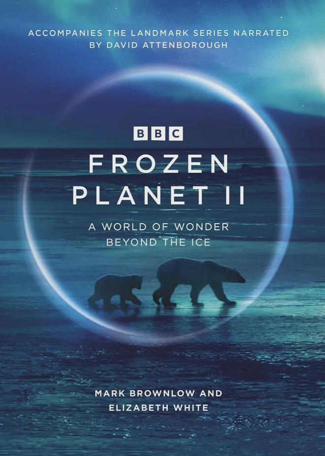 九游娱乐：最高98分零差评这五部大片建议收藏