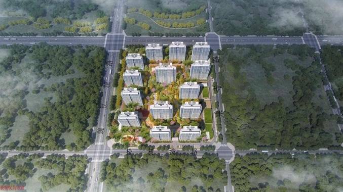 新华星耀学府【2025年合肥必看品质楼盘!】(图4)