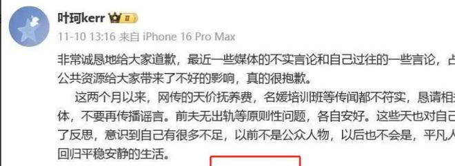 韩国明星悲惨事件1(图6)