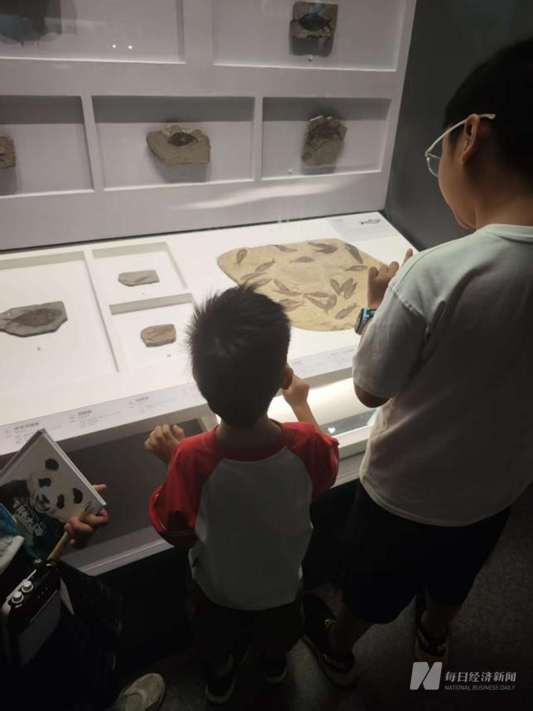 三星堆、云冈石窟被研学团“包围”！自然探索、非遗体验成新热点考古发现如何变身文旅产业？(图7)