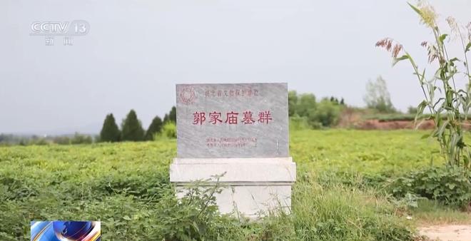 看小说学盗墓挖走20余件国宝特大盗墓案细节曝光(图4)