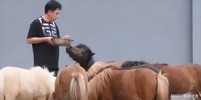 成“老赖”不到48小时于谦被扒底朝天杨议的爆料只是冰山一角